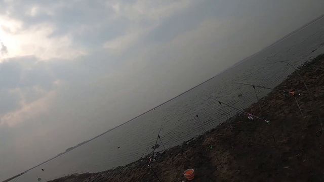 Треустан. Открытие 2022 смотреть онлайн