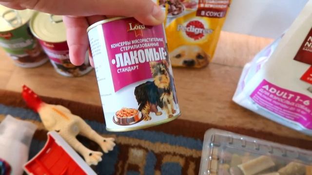 Дези собирается на дачу! Что мы с собой берем в дорогу! смотреть онлайн