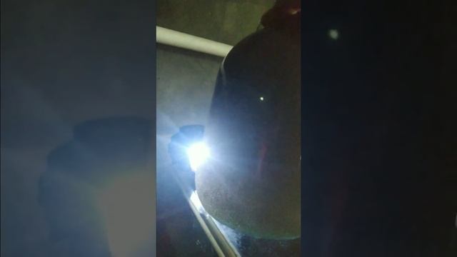 Инкубация Артемия в домашних условиях смотреть онлайн