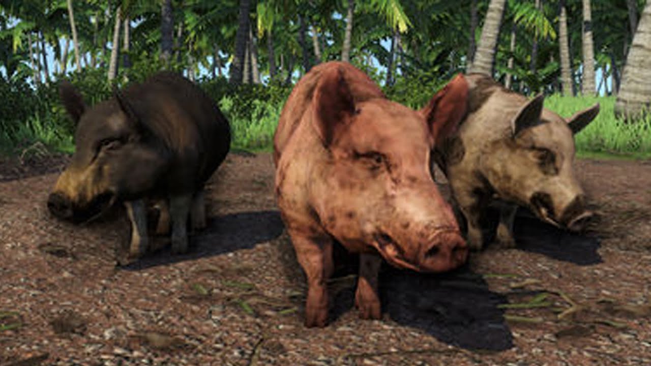 FAR CRY 4 /// НА МЕНЯ НАПАЛИ КАБАНЫ #13 смотреть онлайн