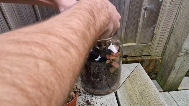 Exotic Terrarium Build - FAILED TERRARIUM Rescape смотреть онлайн