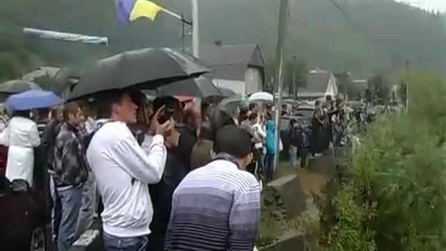 Тиса-1.Брустурянська кедровиця. смотреть онлайн