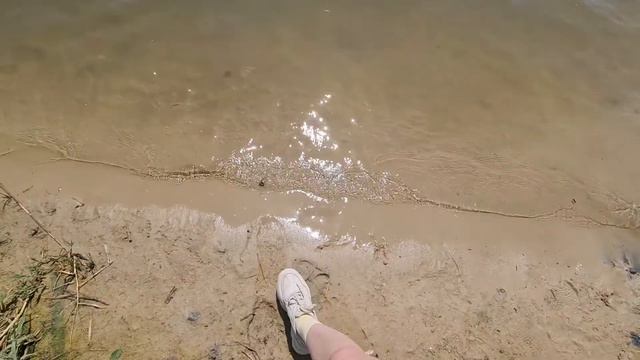 VLOG В грязной речке купаются люди, утки, крысы смотреть онлайн