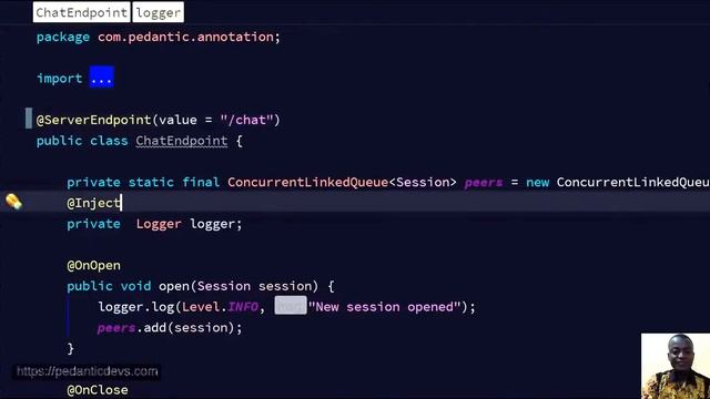 Java EE WebSockets Example Tutorial - Code Guide смотреть онлайн