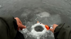 ЛОВЛЯ НА БАЛДУ.КАКУЮ БАЛДУ ВЫБРАТЬ.ОКУНЬ ЛЮБИТ ЭТУ ПРИМАНКУ.