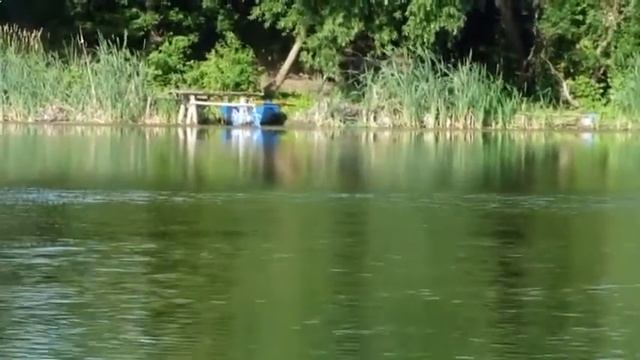 Музыка для всех-РЕЛАКС Класика Моцарт Красивая музыка для души 480 x 8545891 смотреть онлайн