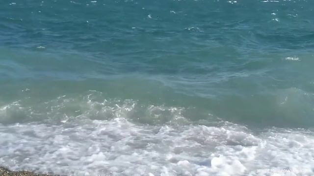 НОВОРОССИЙСКЕ НАР ДОСТ СНОСИТ ХОЛОДНО ЧЁРНОЕ МОРЕ СИЛЬНАЯ ВОЛНА 15.10.2022. ( ЖИВУ НА ЧЁРНОМ МОРЕ) смотреть онлайн