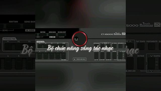 Casio CT-X5000 смотреть онлайн