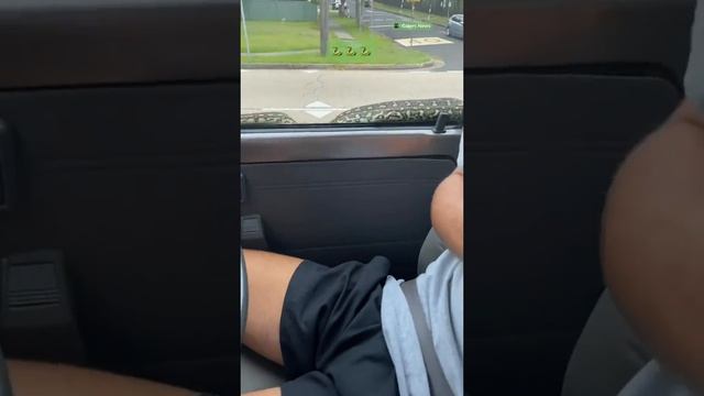 He knows exactly what to do! ? #animallover #snake #python ?: Caters News смотреть онлайн