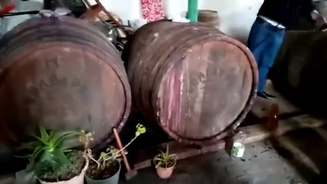 NEMEÇSKAYA SELO MARKSOVKA, AKSTAFA смотреть онлайн