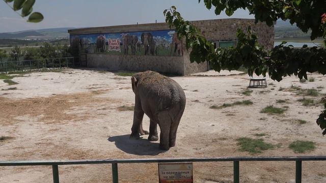 Прогулка по летнему парку Тайган! Walking Through The Summer Taigan. Июль 2021