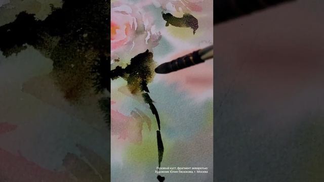 Розовый куст акварелью // Картина с цветами // Художник Юлия Евсюкова смотреть онлайн