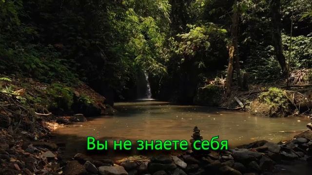 Почему женщине не удается встретить своего человека. смотреть онлайн