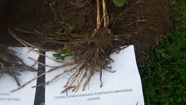 20171017 115205 смотреть онлайн