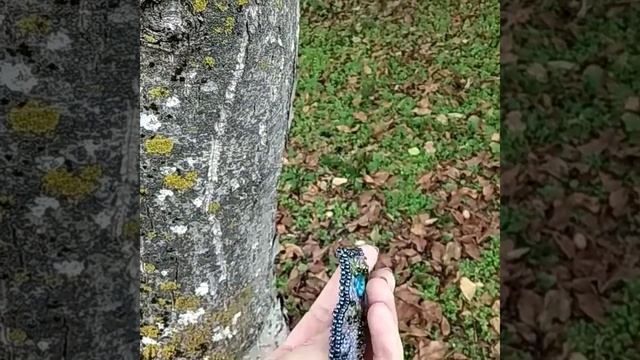 Сова смотреть онлайн