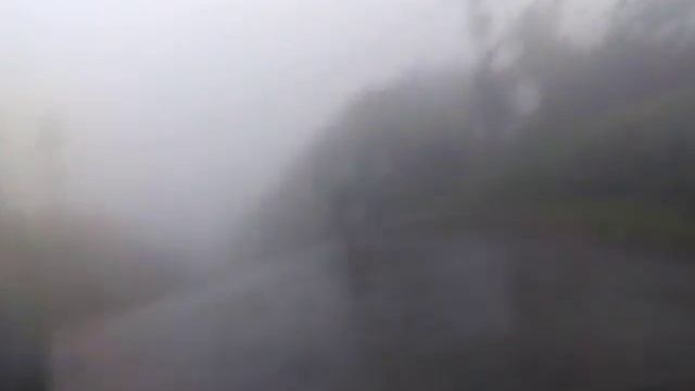 Туман по дороге вечером смотреть онлайн