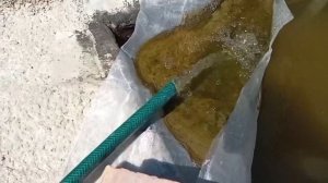 Самодельный илосос для пруда .