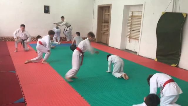 Лесозаводск. Фрагменты занятий Айкидо Айкикай. Додзё в Ружино. смотреть онлайн