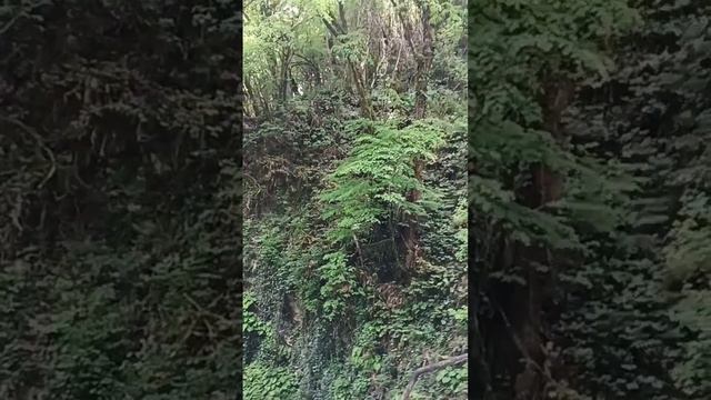 Чуток дороги на 33 водопада и сам водопад. Индивидуальная экскурсия от нашего гостевого дома. смотреть онлайн