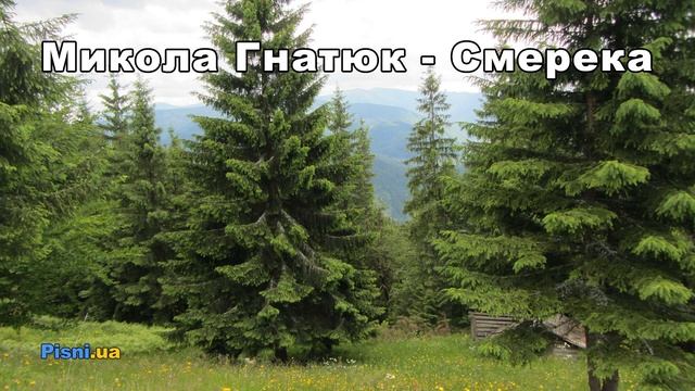 Микола Гнатюк - Смерека смотреть онлайн