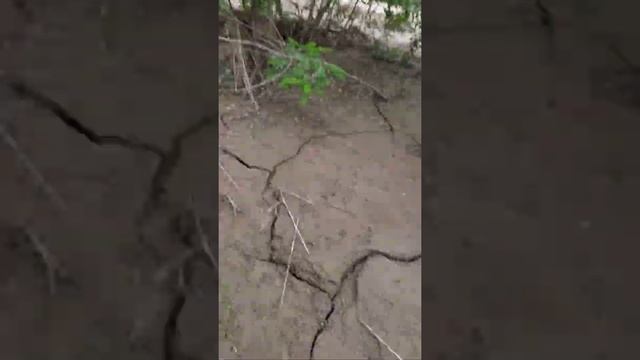 р. Сунжа. Место за поселком Старая Сунжа, г. Грозный смотреть онлайн