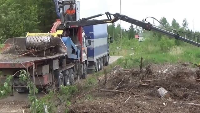 Stash of morel found on chipping site смотреть онлайн