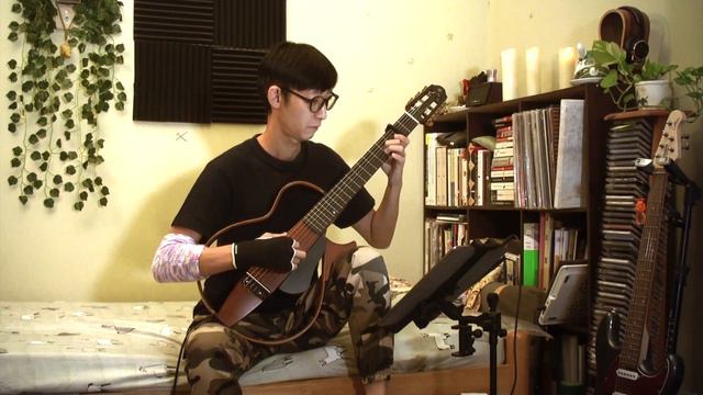 Alan Walker | Lily (Fingerstyle Solo Guitar Arrangement) смотреть онлайн