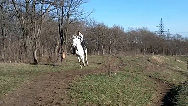 Белый конь смотреть онлайн
