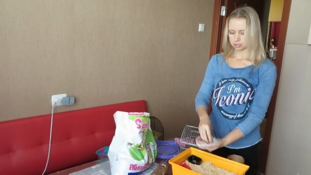 Как правильно сделать уборку клетки хомяка☝️ Уход за животными #Хомяки смотреть онлайн