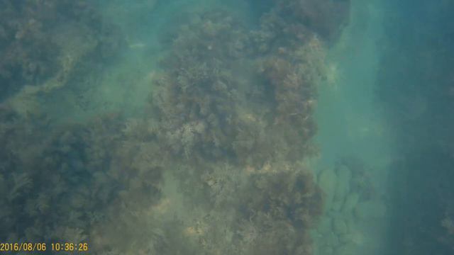 Агой Черное море август 2016 смотреть онлайн