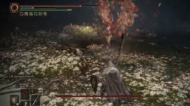 Malenia's Playground: Shield + Colossal Sword | Elden Ring смотреть онлайн