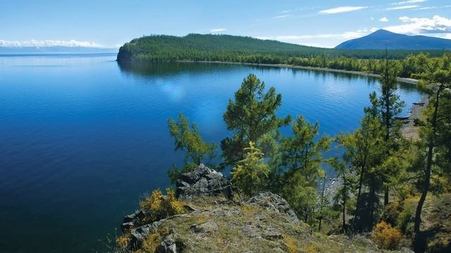 А почему я должна жалеть, что ты ушел? Потому что мне никто не будет врать и обзывать меня? смотреть онлайн