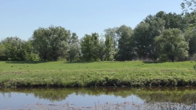 Дельта Волги Разлив Природа Астраханской области The Volga Delta Spill