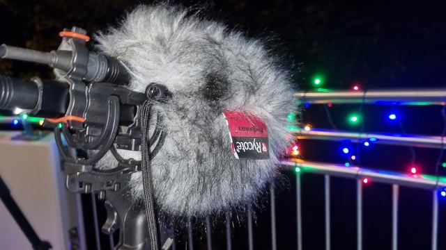 Night Rainfall / Field Recording Nature / Sennheiser MKH-30 / Rode M5 MS смотреть онлайн