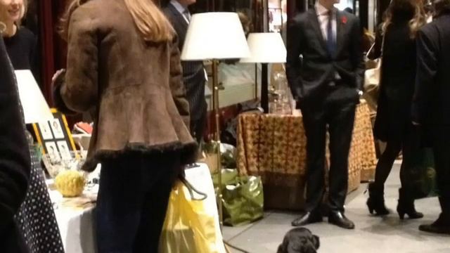 Royal baby George official photos: The forgotten rise of Lupo the dog смотреть онлайн