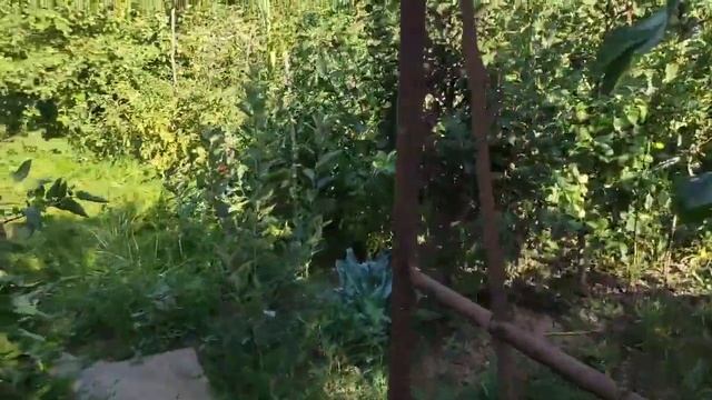 Маленький участок - не проблема для садовода смотреть онлайн