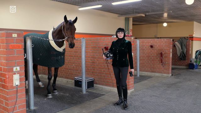 Оксана Калашникова: в бизнесе и конном спорте нет места страху смотреть онлайн
