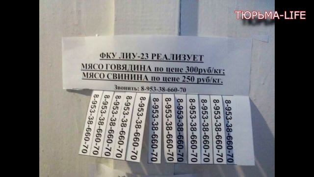 ФКУ ИК-23 мясо недорого, разговор по телефону смотреть онлайн