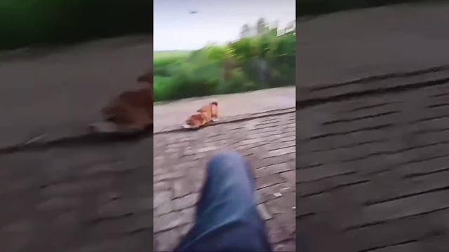 😂😂Зацените трюк смотреть онлайн