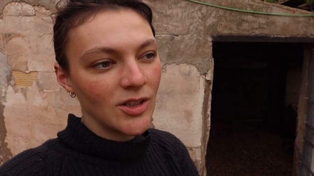 Cría de Patos Mudos - Día 35 Eclosión de los Patitos смотреть онлайн