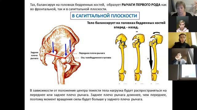 СУСТАВЫ НИЖНЕЙ КОНЕЧНОСТИ смотреть онлайн