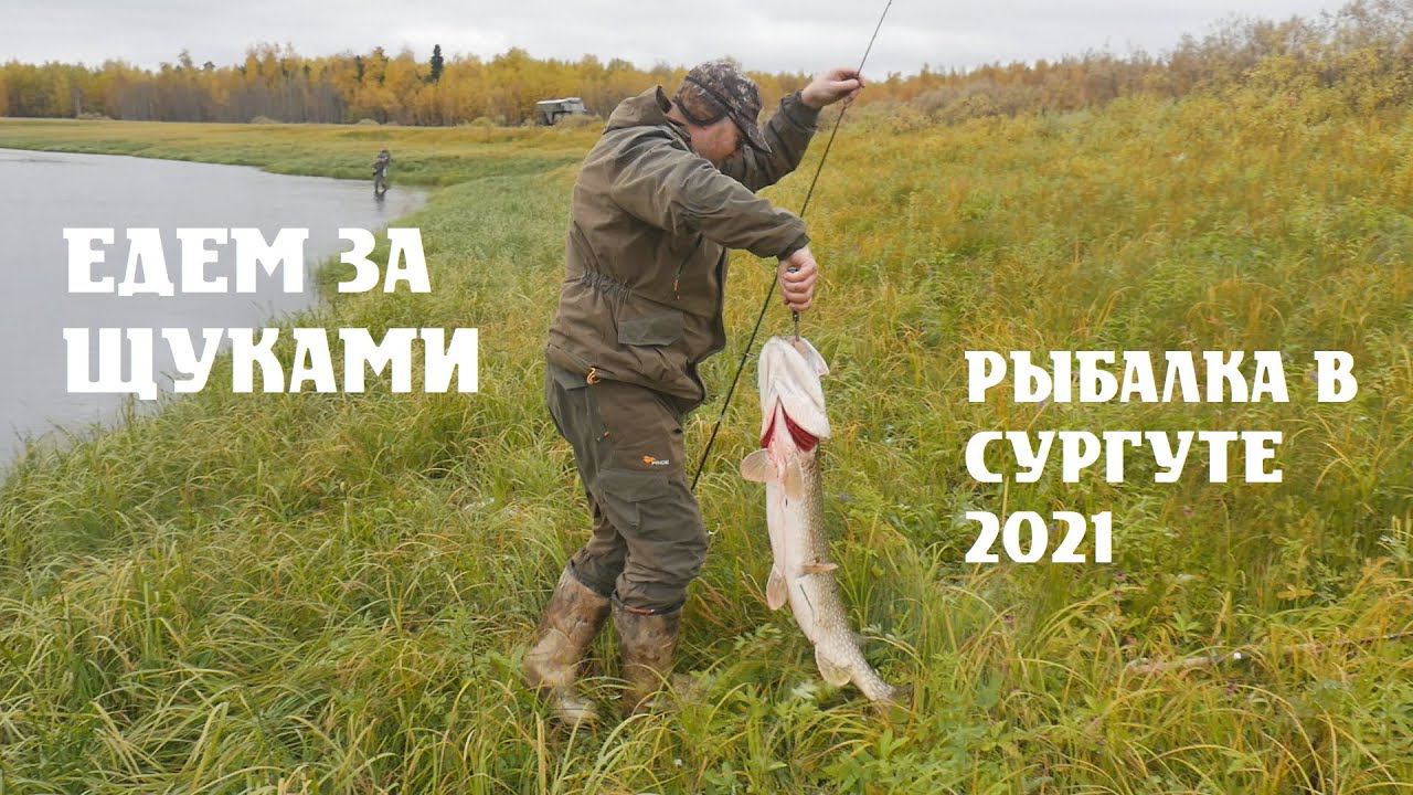 ЗА ТРОФЕЙНОЙ ЩУКОЙ НА ВЕЗДЕХОДАХ ТРОМ. 4К смотреть онлайн