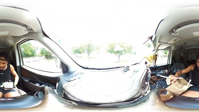 Monkey Food Aggression Test! | 360° VR | Virtual Reality Experience смотреть онлайн