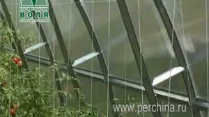 Теплица Дачная Стрелка от компании Воля