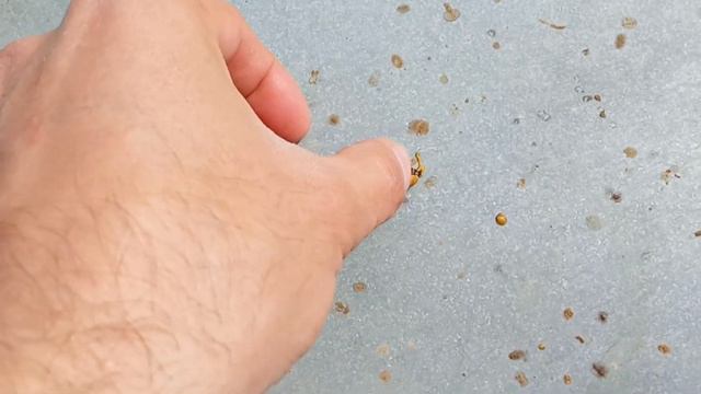 Майская болезнь пчёл смотреть онлайн