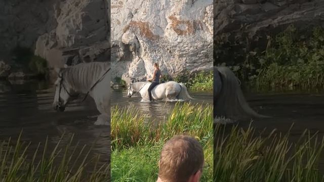 Конный клуб Золотая подкова смотреть онлайн