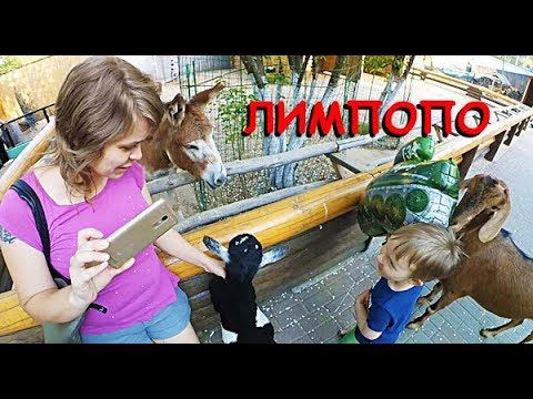 САМЫЙ ЛУЧШИЙ ДЕНЬ! КОНТАКТНЫЙ ЗООПАРК ЛИМПОПО В СОРМОВСКОМ ПАРКЕ. ВАНЕ 4 ГОДА! смотреть онлайн