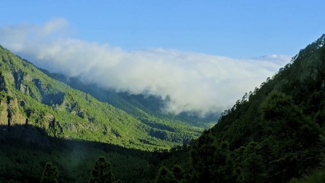 Relaxing music and sea of clouds in Caldera de Taburiente National Park - La Palma смотреть онлайн
