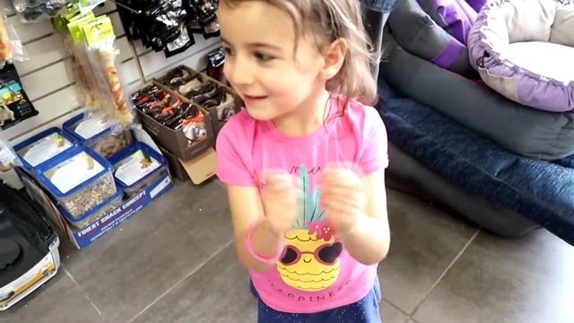 Купили Хомячка!!! Клетка хабитрейл! Habitrail Twist смотреть онлайн