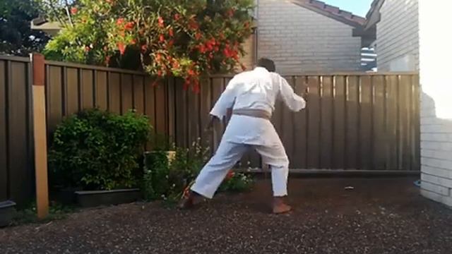 Training Chinto Kata смотреть онлайн